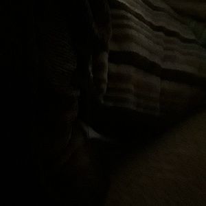 Meet your Posher, Wyatt